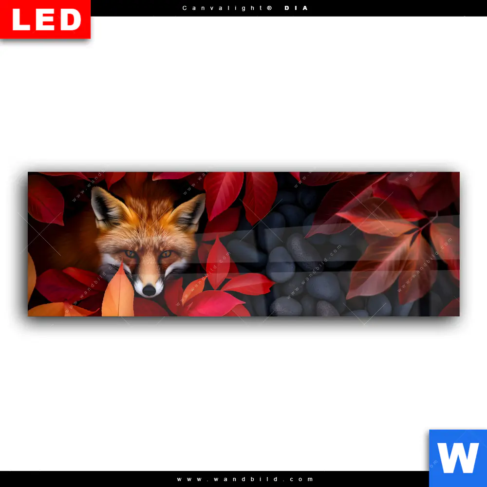 Wechselmotiv Acrylglas Canvalight® DIA | Fuchs im Herbstlaub | Panorama - Image 2