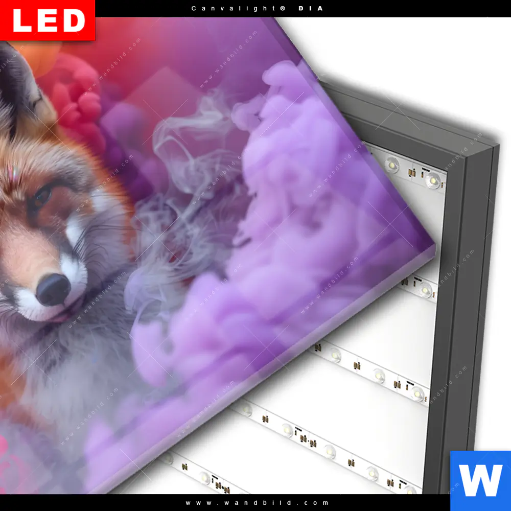 Wechselmotiv Acrylglas Canvalight® DIA | Fuchs in Farbnebel | Querformat - Image 3