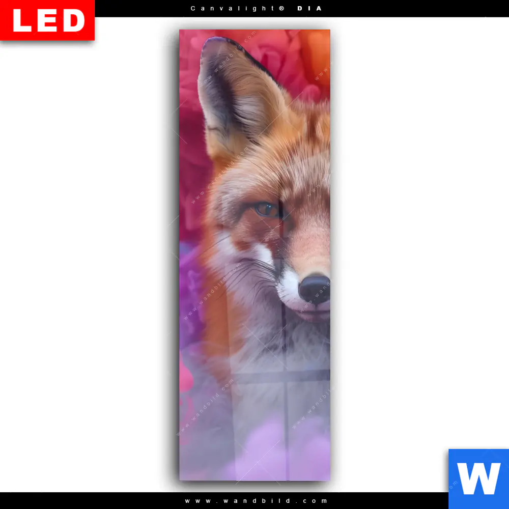 Wechselmotiv Acrylglas Canvalight® DIA | Fuchs in Farbnebel | Schmal - Image 2