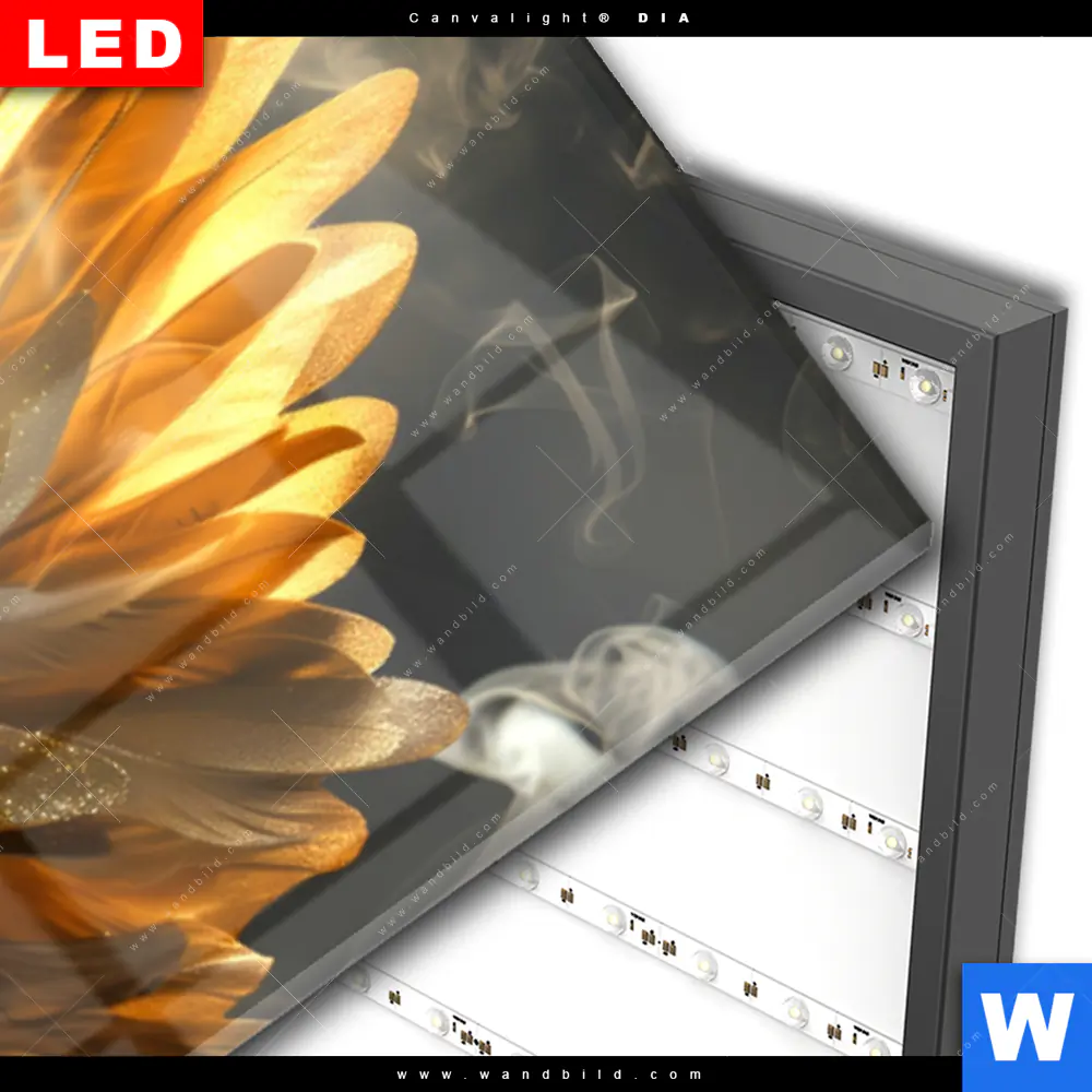 Wechselmotiv Acrylglas Canvalight® DIA | Fuchs mit goldenen Flügeln | Panorama - Image 3