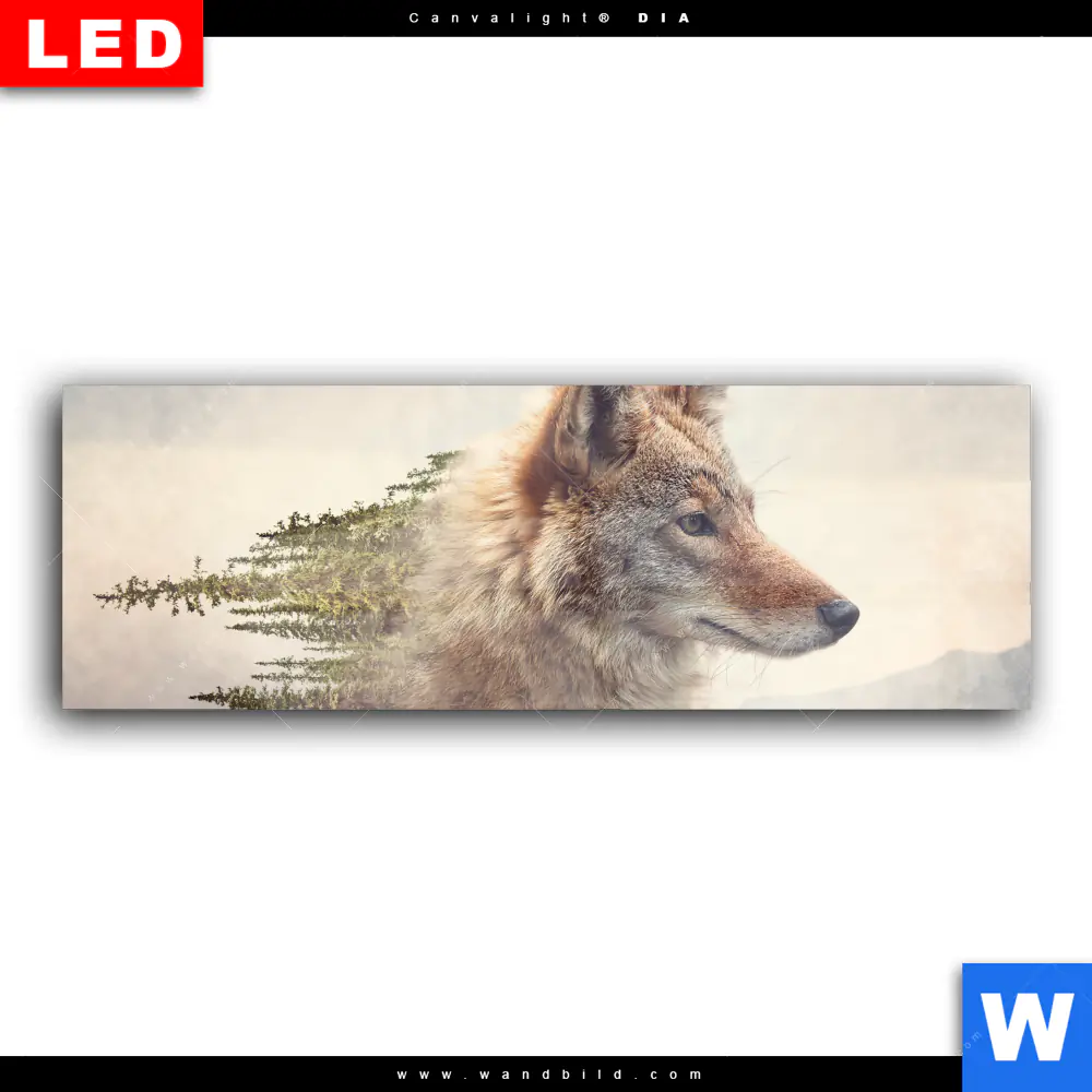 Wechselmotiv Acrylglas Canvalight® DIA | Fuchs & Wald | Panorama - Image 2