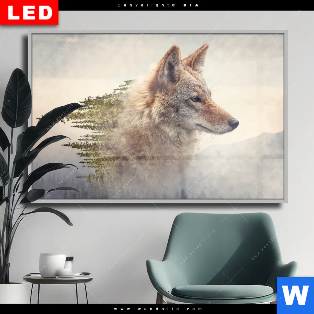 Wechselmotiv Acrylglas Canvalight® DIA | Fuchs & Wald | Querformat