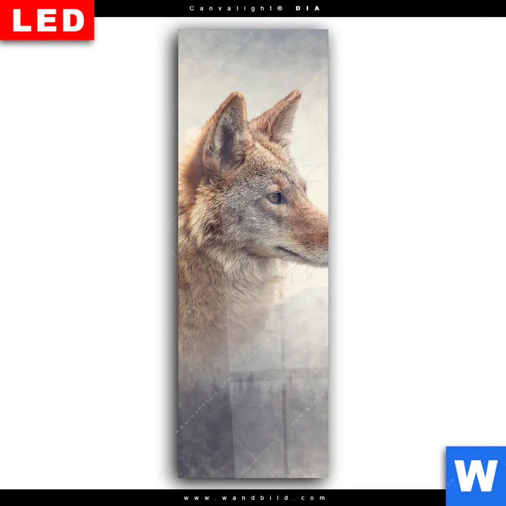 Wechselmotiv Acrylglas Canvalight® DIA | Fuchs & Wald | Schmal - Image 2