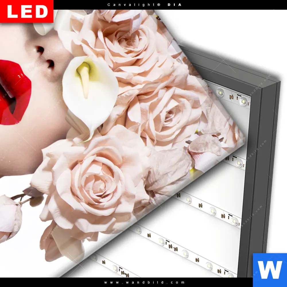 Wechselmotiv Acrylglas Canvalight® DIA | Gesicht & Rosen | Quadrat - Image 3