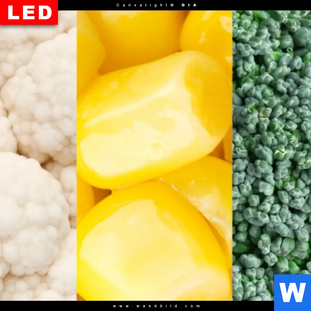 Wechselmotiv Acrylglas Canvalight® DIA | Gesunde Ernährung | Hochformat - Image 4