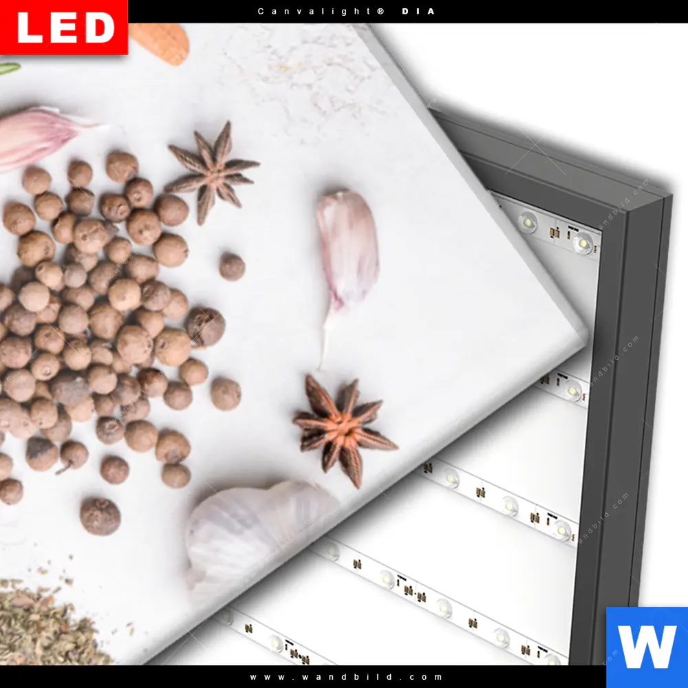 Wechselmotiv Acrylglas Canvalight® DIA | Gewürze auf hellem Untergrund | Schmal - Image 3