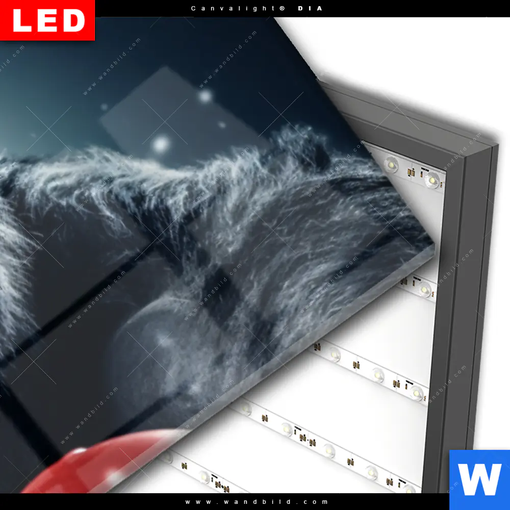 Wechselmotiv Acrylglas Canvalight® DIA | Gorilla mit roten Boxhandschuhen | Panorama - Image 3