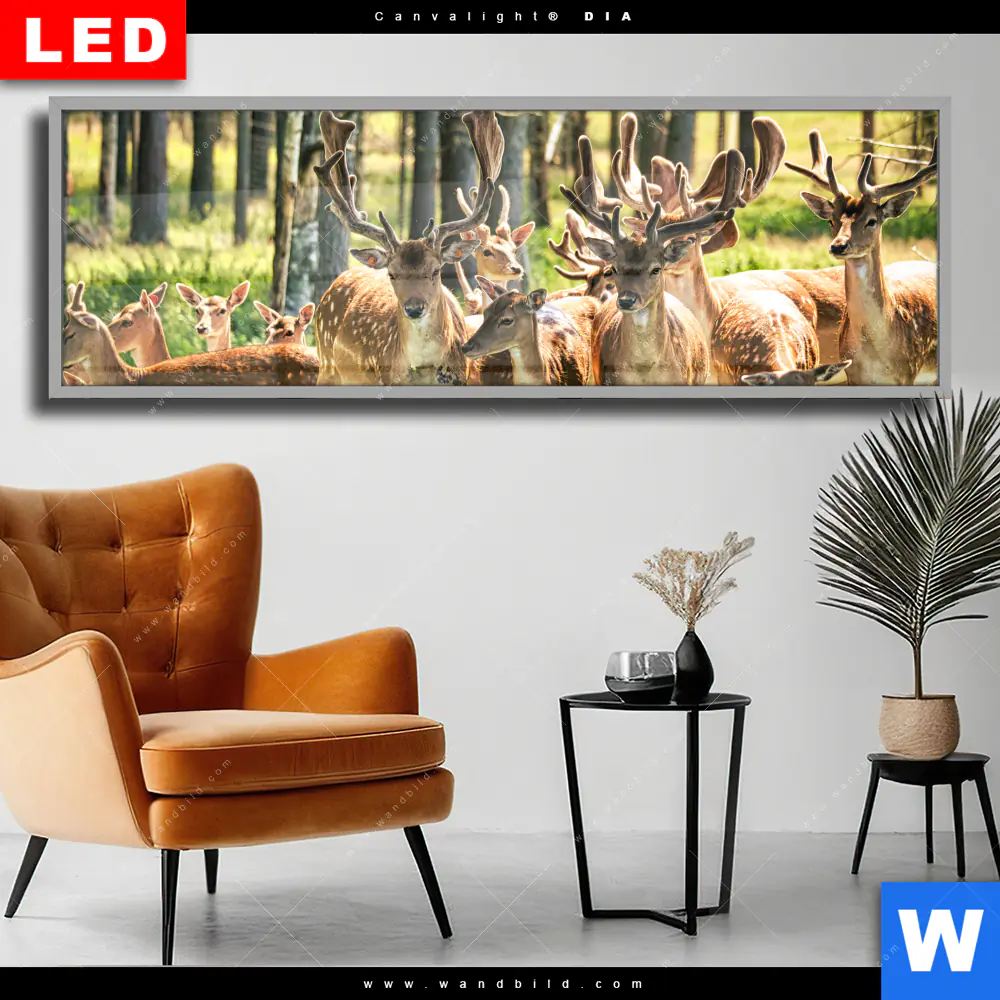 Wechselmotiv Acrylglas Canvalight® DIA | Gruppe Rotwild | Panorama