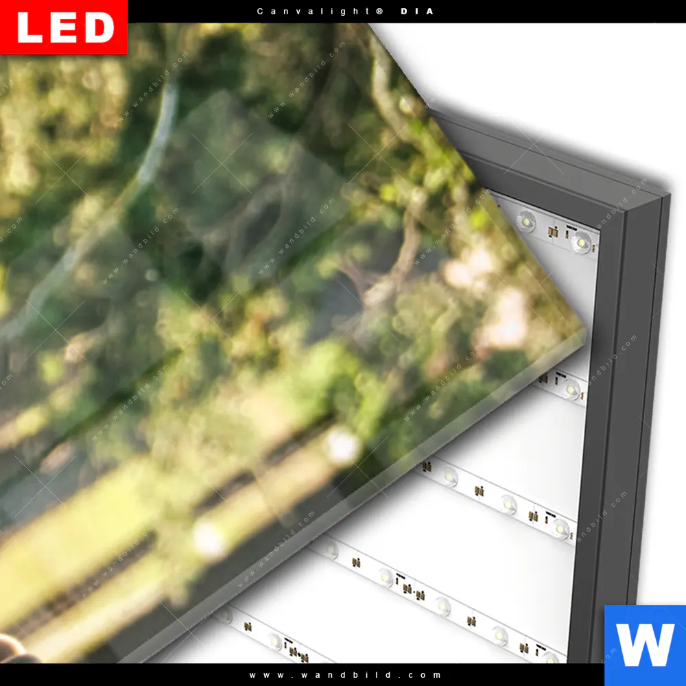 Wechselmotiv Acrylglas Canvalight® DIA | Gruppe Rotwild | Schmal - Image 3