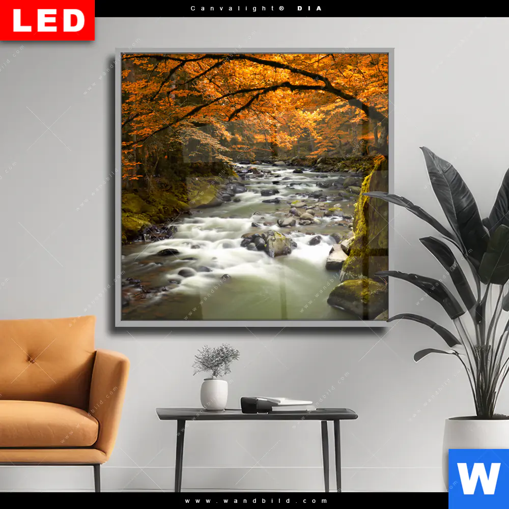 Wechselmotiv Acrylglas Canvalight® DIA | Herbstlandschaft am Fluss | Quadrat