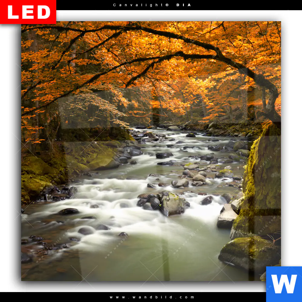 Wechselmotiv Acrylglas Canvalight® DIA | Herbstlandschaft am Fluss | Quadrat - Image 2