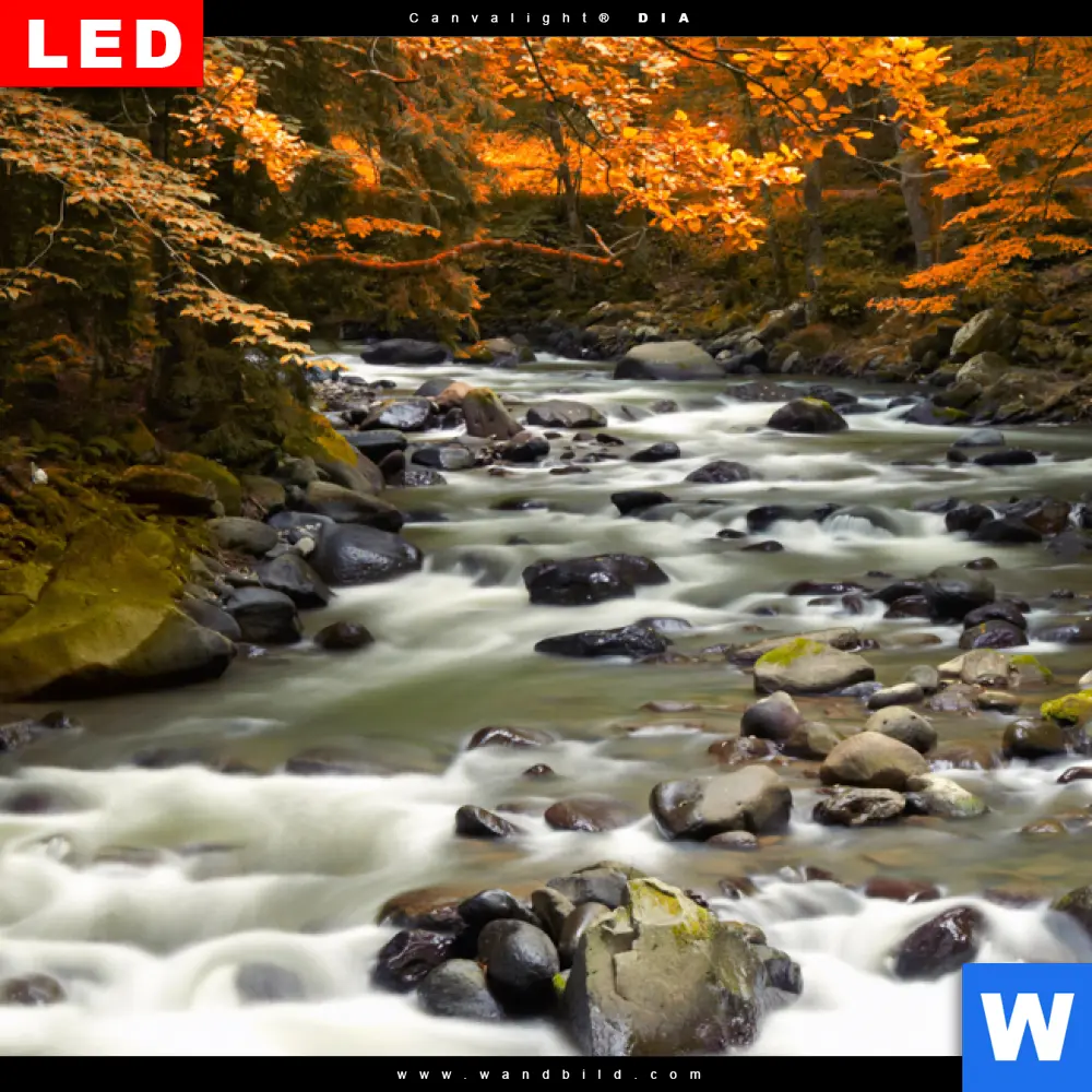 Wechselmotiv Acrylglas Canvalight® DIA | Herbstlandschaft am Fluss | Quadrat - Image 4