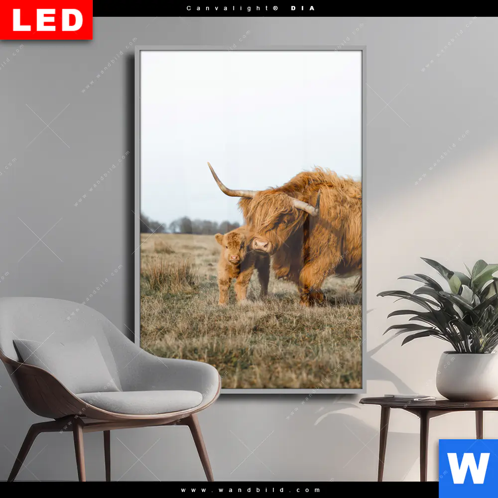Wechselmotiv Acrylglas Canvalight® DIA | Highlander Familie | Hochformat