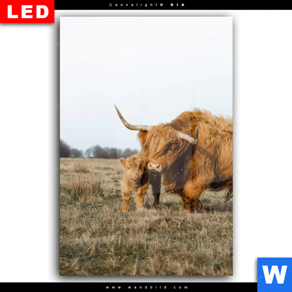 Wechselmotiv Acrylglas Canvalight® DIA | Highlander Familie | Hochformat - Image 2