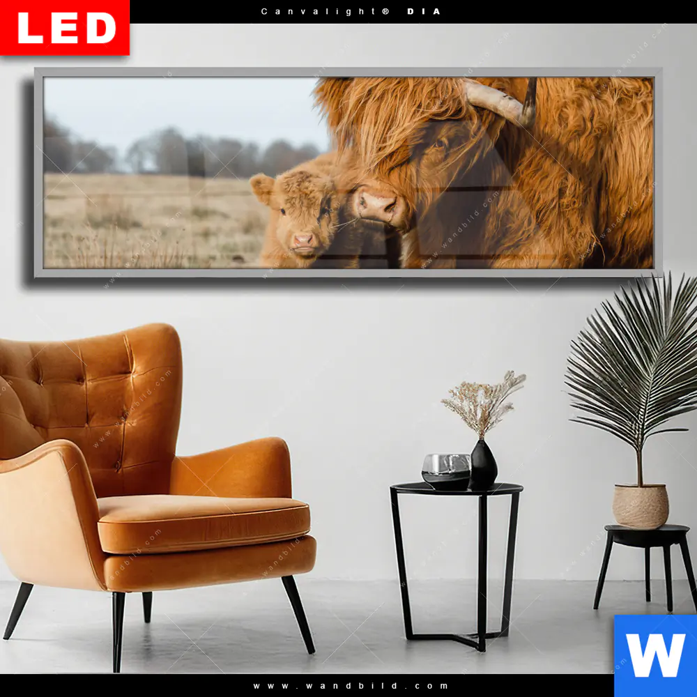 Wechselmotiv Acrylglas Canvalight® DIA | Highlander Familie | Panorama