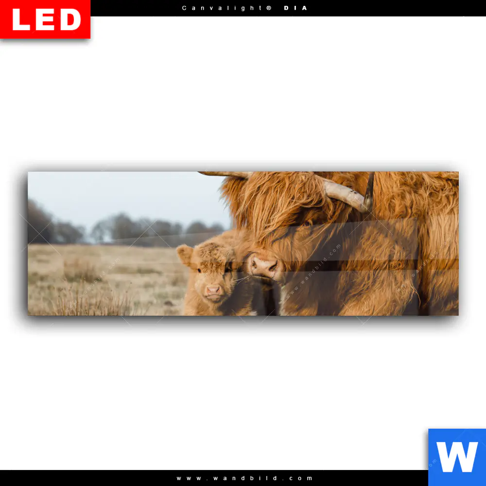 Wechselmotiv Acrylglas Canvalight® DIA | Highlander Familie | Panorama - Image 2