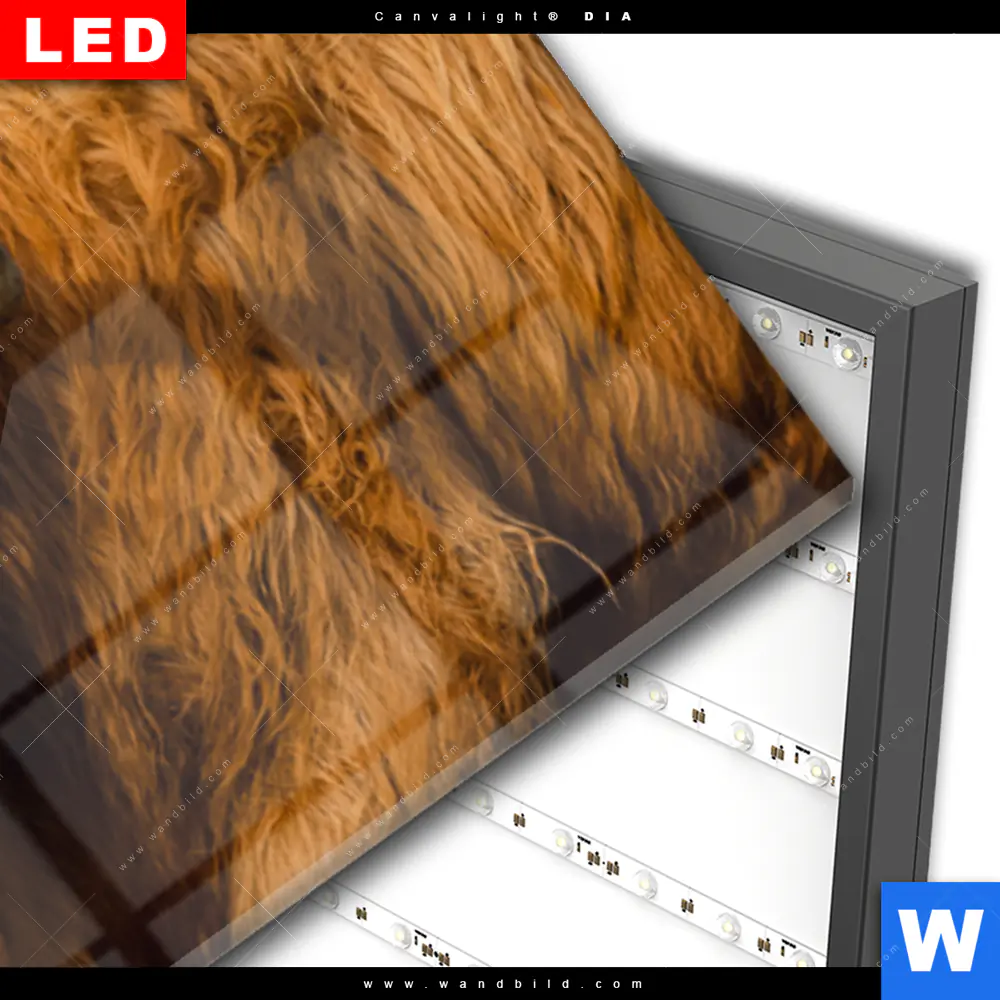 Wechselmotiv Acrylglas Canvalight® DIA | Highlander Familie | Panorama - Image 3
