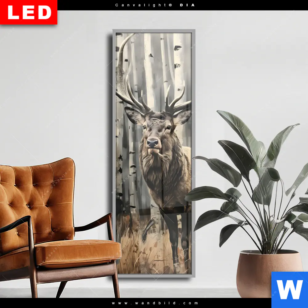 Wechselmotiv Acrylglas Canvalight® DIA | Hirsch im Birkenwald | Schmal