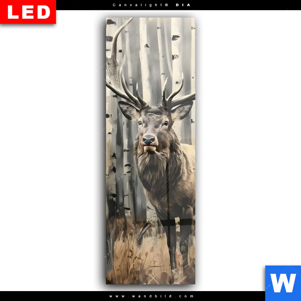 Wechselmotiv Acrylglas Canvalight® DIA | Hirsch im Birkenwald | Schmal - Image 2