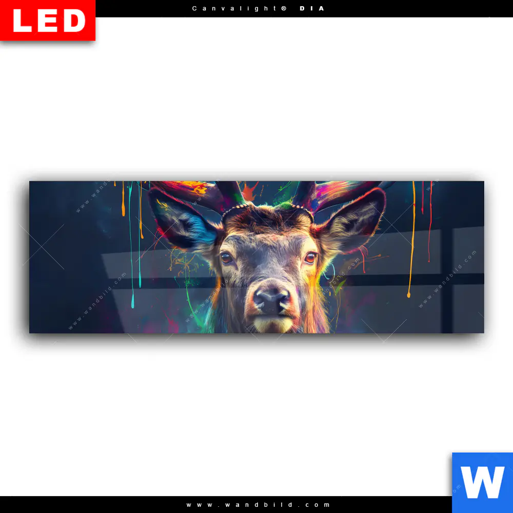 Wechselmotiv Acrylglas Canvalight® DIA | Hirsch im leuchtenden Farbmix | Panorama - Image 2