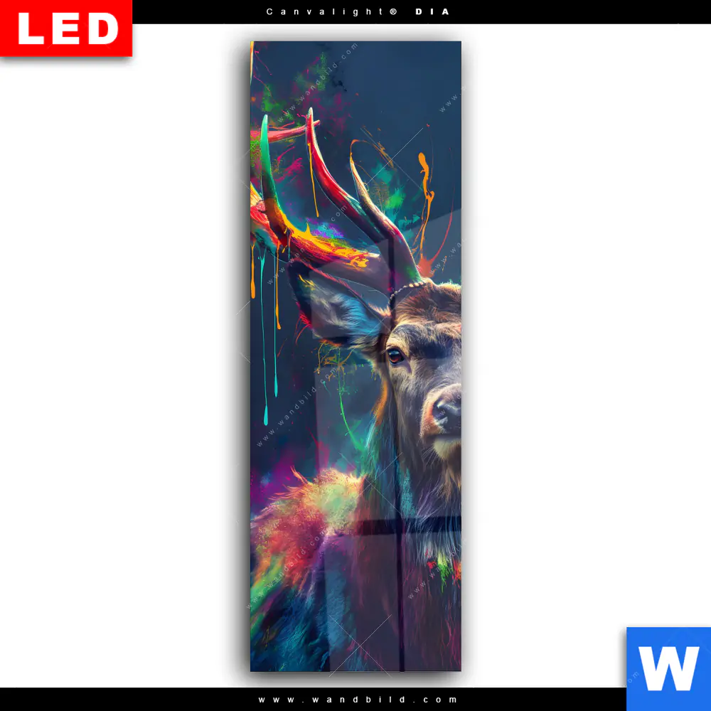 Wechselmotiv Acrylglas Canvalight® DIA | Hirsch im leuchtenden Farbmix | Schmal - Image 2