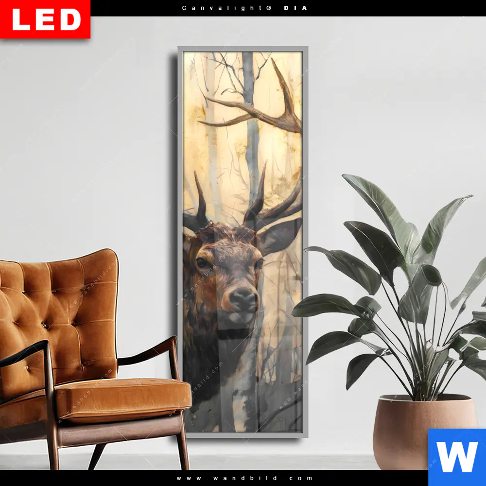 Wechselmotiv Acrylglas Canvalight® DIA | Hirsch im Morgenlicht | Schmal