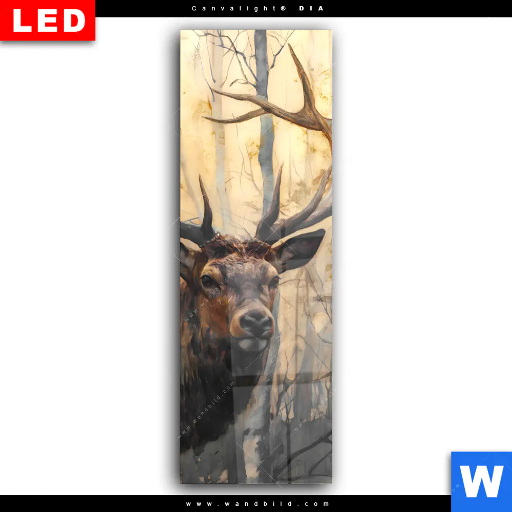 Wechselmotiv Acrylglas Canvalight® DIA | Hirsch im Morgenlicht | Schmal - Image 2