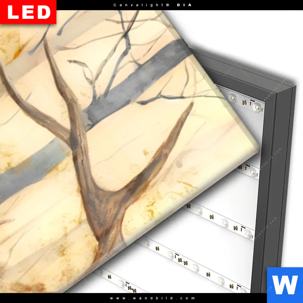 Wechselmotiv Acrylglas Canvalight® DIA | Hirsch im Morgenlicht | Schmal - Image 3