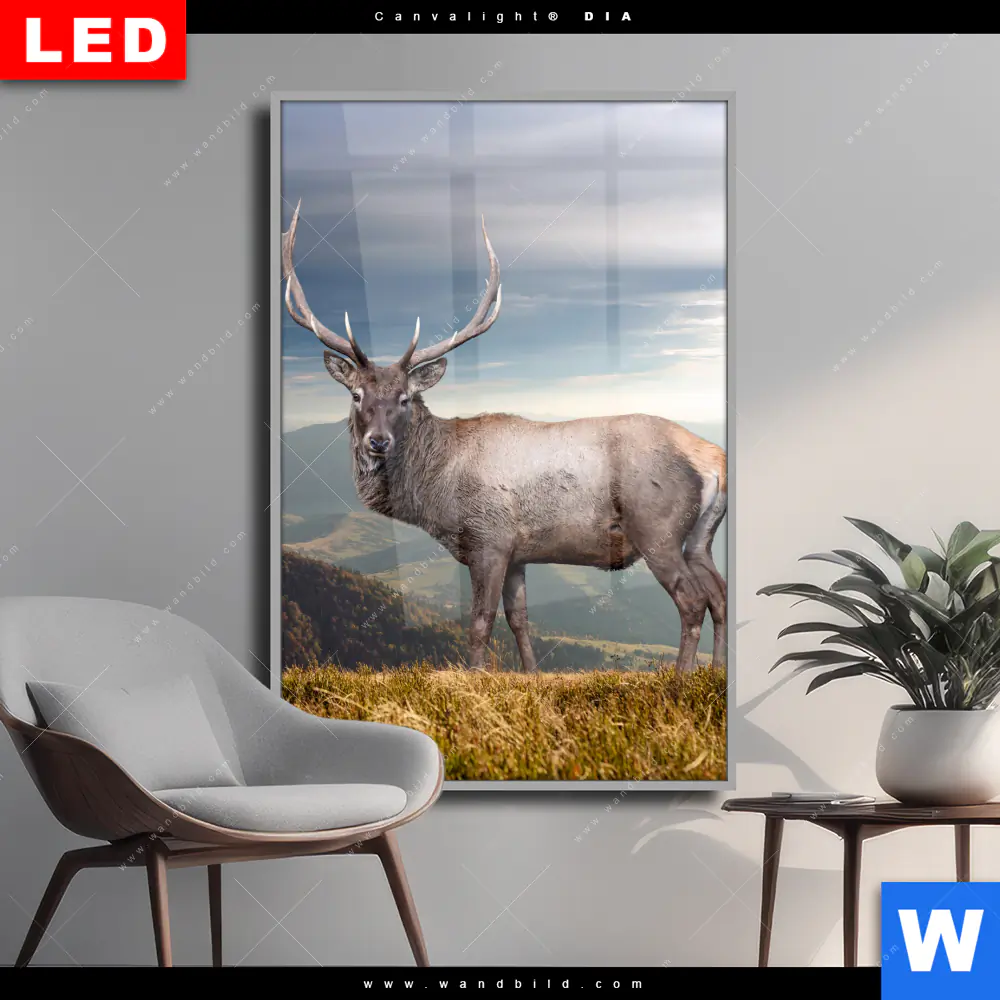 Wechselmotiv Acrylglas Canvalight® DIA | Hirsch in der Herbstzeit | Hochformat