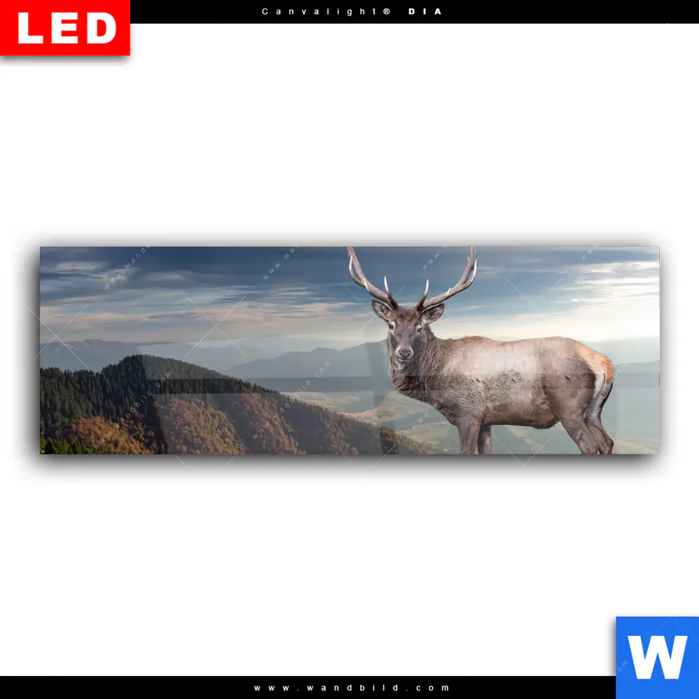 Wechselmotiv Acrylglas Canvalight® DIA | Hirsch in der Herbstzeit | Panorama - Image 2