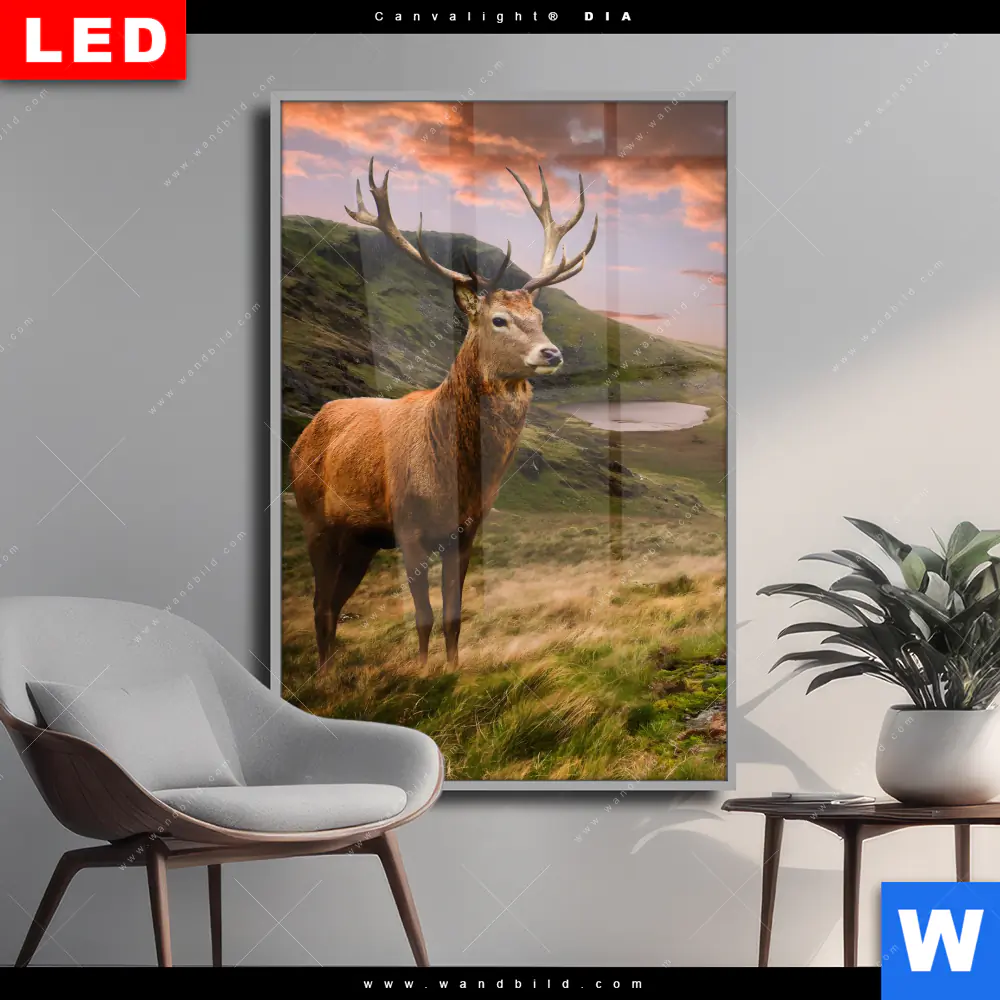 Wechselmotiv Acrylglas Canvalight® DIA | Hirsch in Gebirgslandschaft | Hochformat