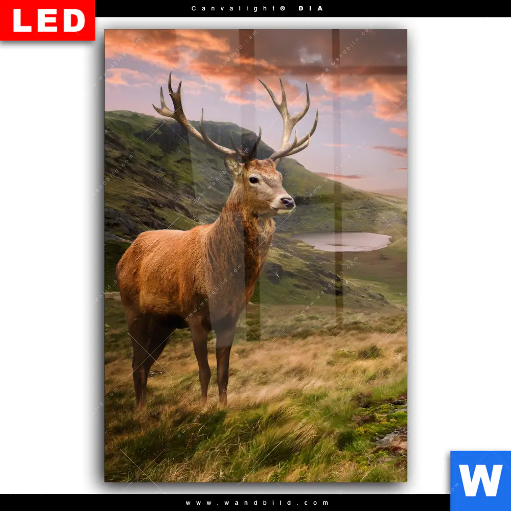 Wechselmotiv Acrylglas Canvalight® DIA | Hirsch in Gebirgslandschaft | Hochformat - Image 2
