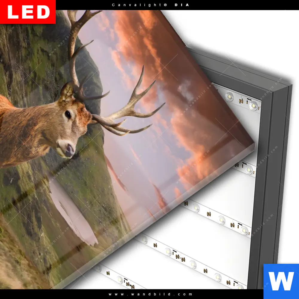 Wechselmotiv Acrylglas Canvalight® DIA | Hirsch in Gebirgslandschaft | Hochformat - Image 3