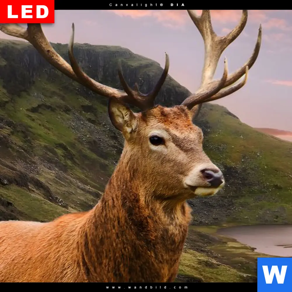 Wechselmotiv Acrylglas Canvalight® DIA | Hirsch in Gebirgslandschaft | Hochformat - Image 4