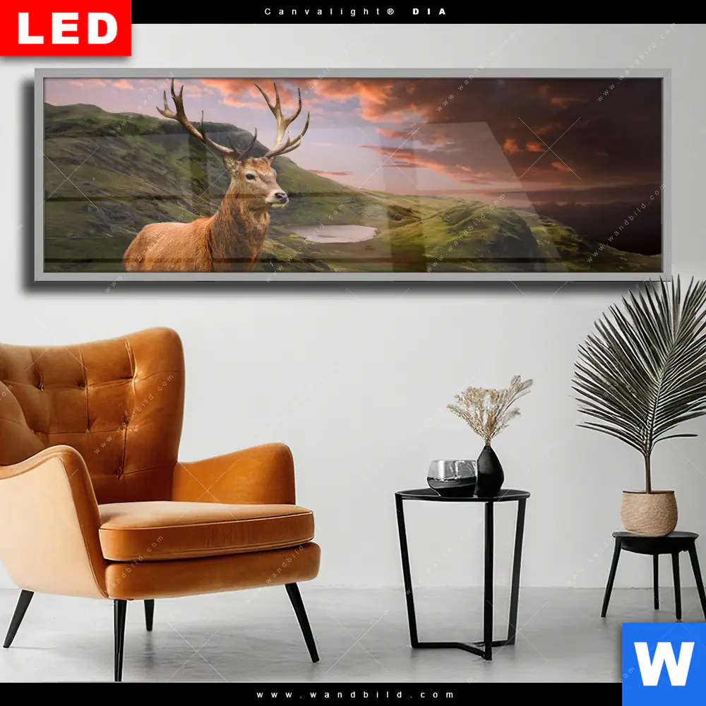 Wechselmotiv Acrylglas Canvalight® DIA | Hirsch in Gebirgslandschaft | Panorama