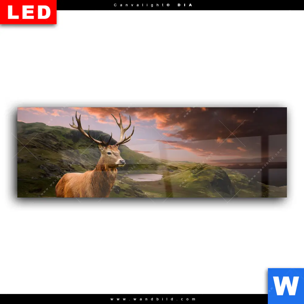 Wechselmotiv Acrylglas Canvalight® DIA | Hirsch in Gebirgslandschaft | Panorama - Image 2