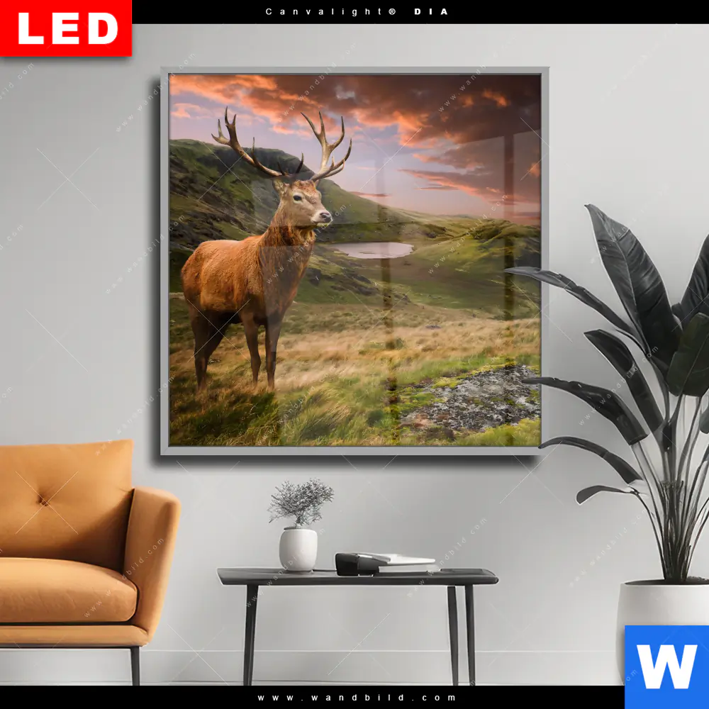 Wechselmotiv Acrylglas Canvalight® DIA | Hirsch in Gebirgslandschaft | Quadrat