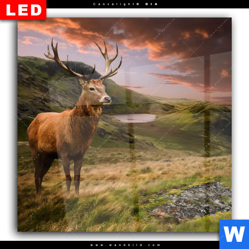 Wechselmotiv Acrylglas Canvalight® DIA | Hirsch in Gebirgslandschaft | Quadrat - Image 2