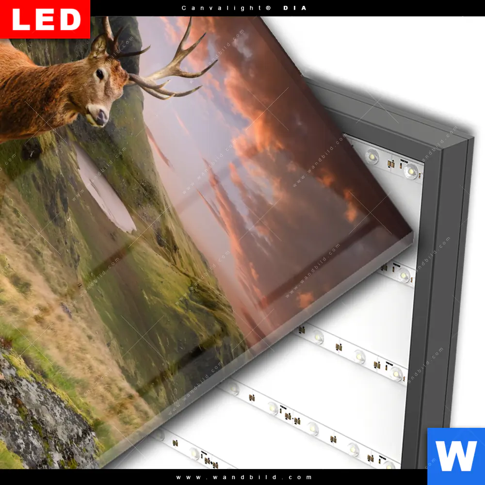 Wechselmotiv Acrylglas Canvalight® DIA | Hirsch in Gebirgslandschaft | Quadrat - Image 3