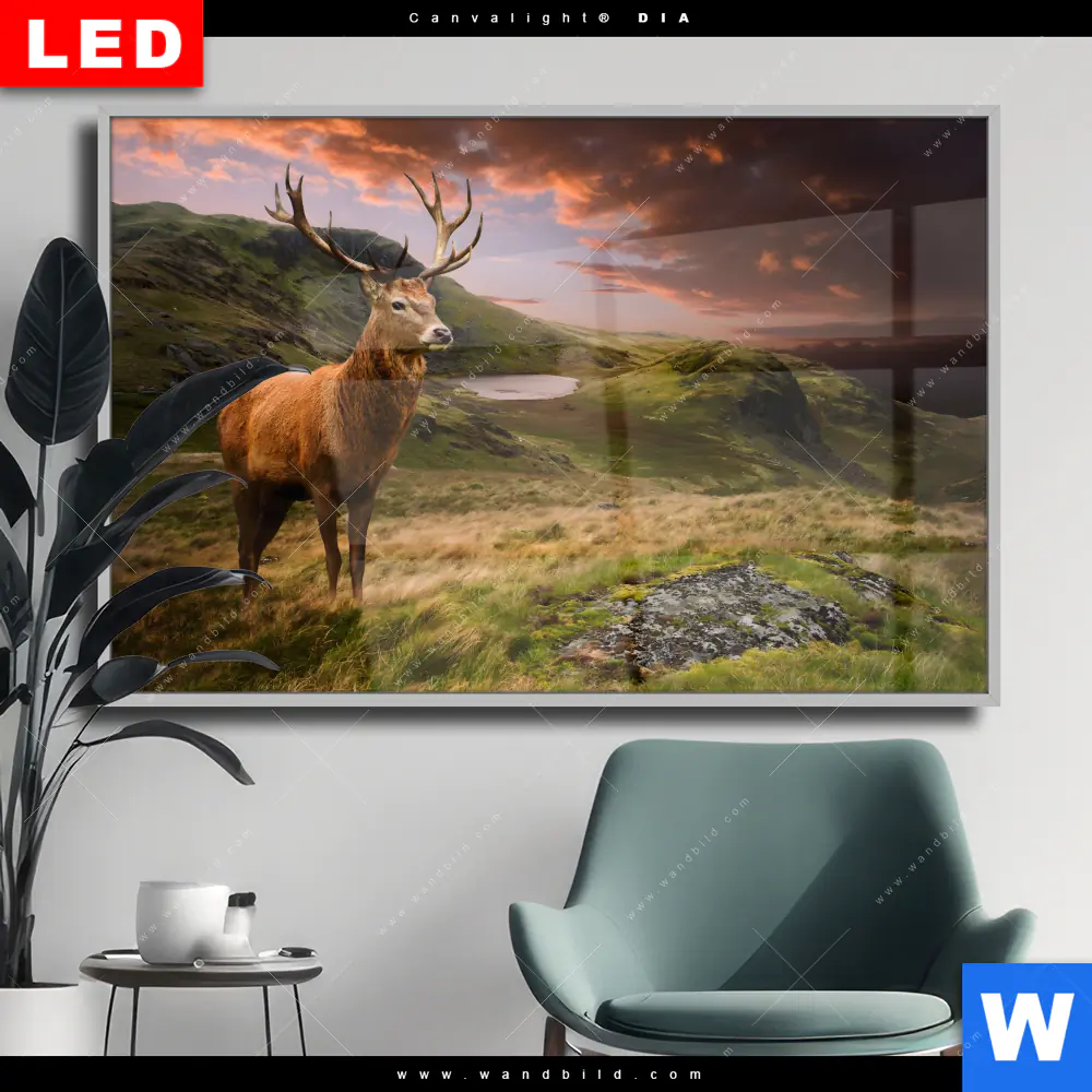 Wechselmotiv Acrylglas Canvalight® DIA | Hirsch in Gebirgslandschaft | Querformat