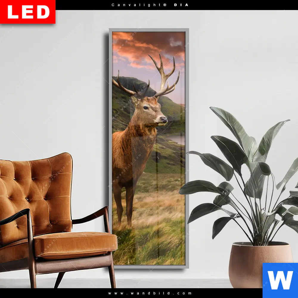 Wechselmotiv Acrylglas Canvalight® DIA | Hirsch in Gebirgslandschaft | Schmal