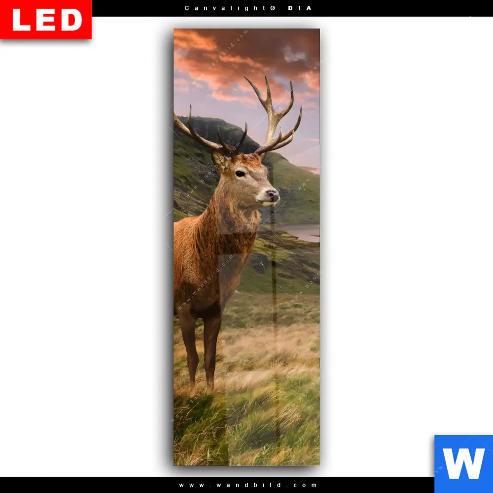 Wechselmotiv Acrylglas Canvalight® DIA | Hirsch in Gebirgslandschaft | Schmal - Image 2