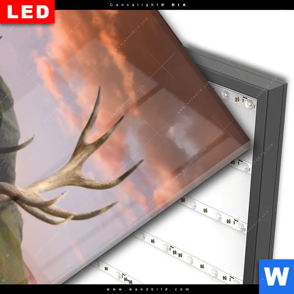 Wechselmotiv Acrylglas Canvalight® DIA | Hirsch in Gebirgslandschaft | Schmal - Image 3