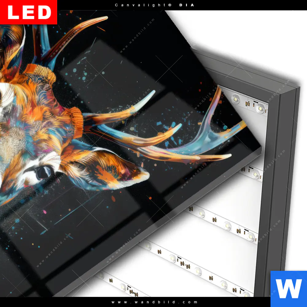 Wechselmotiv Acrylglas Canvalight® DIA | Hirsch-Kopf | Quadrat - Image 3
