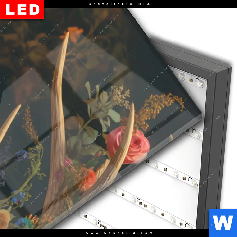 Wechselmotiv Acrylglas Canvalight® DIA | Hirsch mit floralem Geweih | Schmal - Image 3