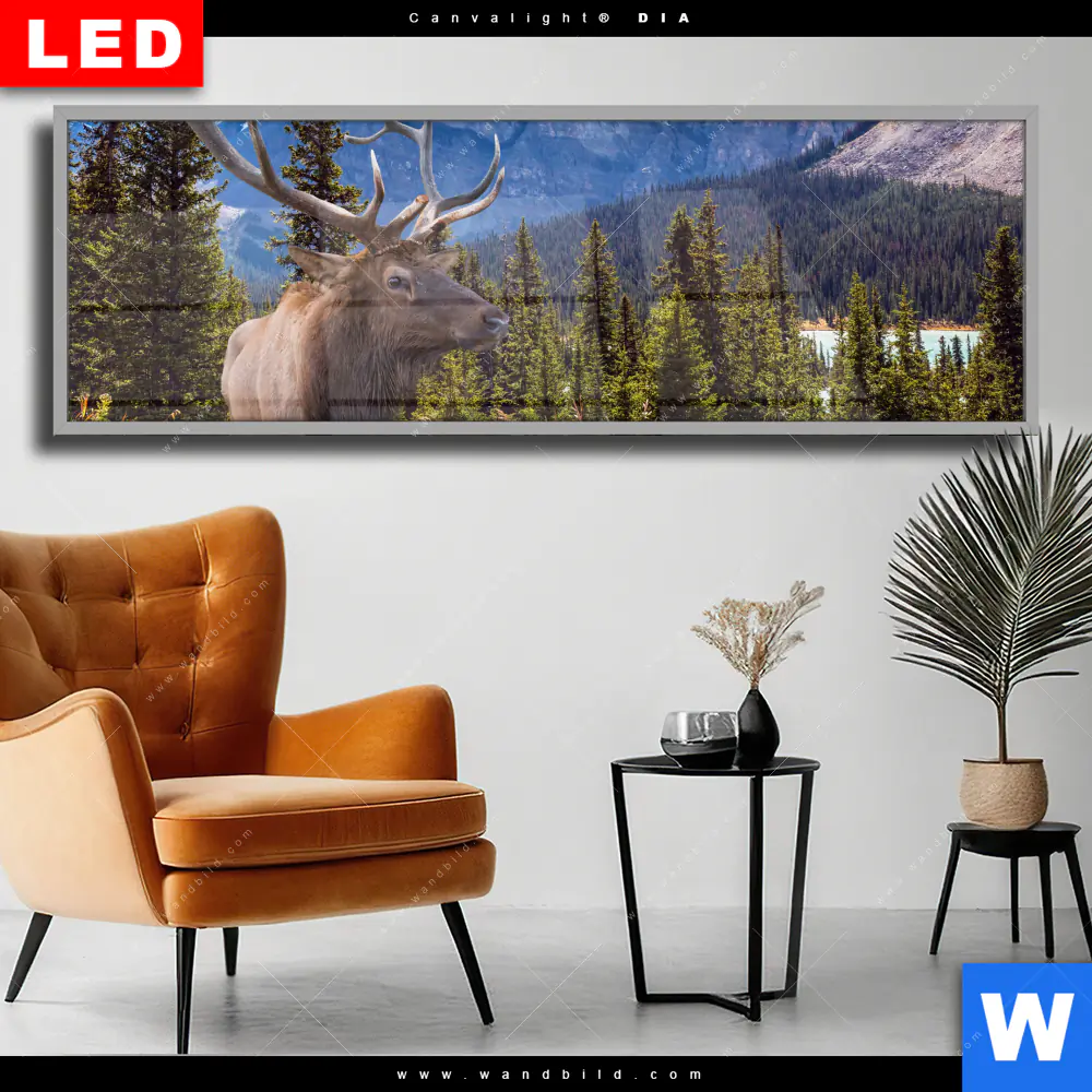 Wechselmotiv Acrylglas Canvalight® DIA | Hirsch vor Bergkulisse | Panorama
