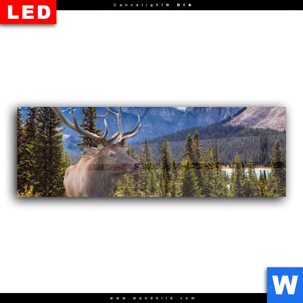 Wechselmotiv Acrylglas Canvalight® DIA | Hirsch vor Bergkulisse | Panorama - Image 2