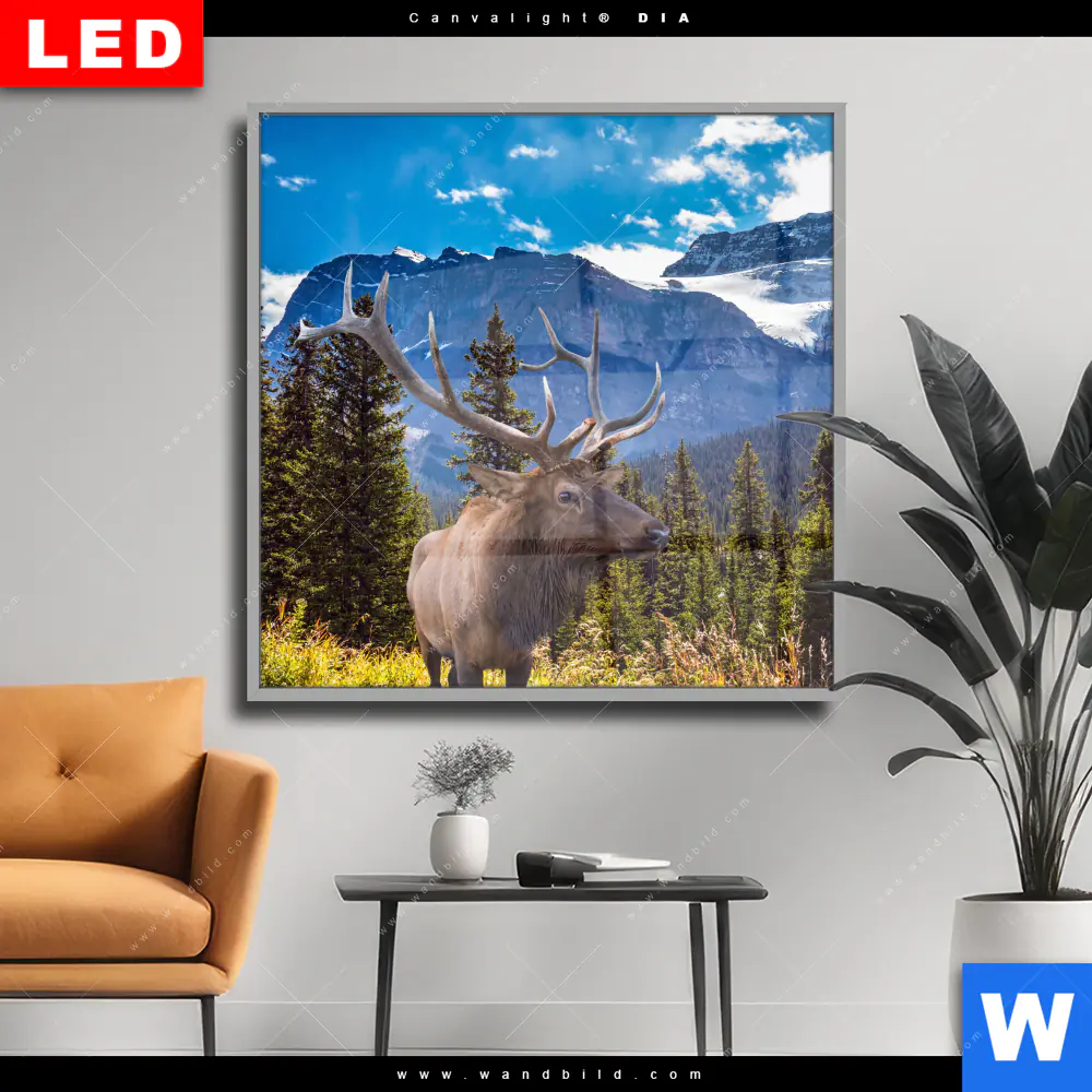 Wechselmotiv Acrylglas Canvalight® DIA | Hirsch vor Bergkulisse | Quadrat