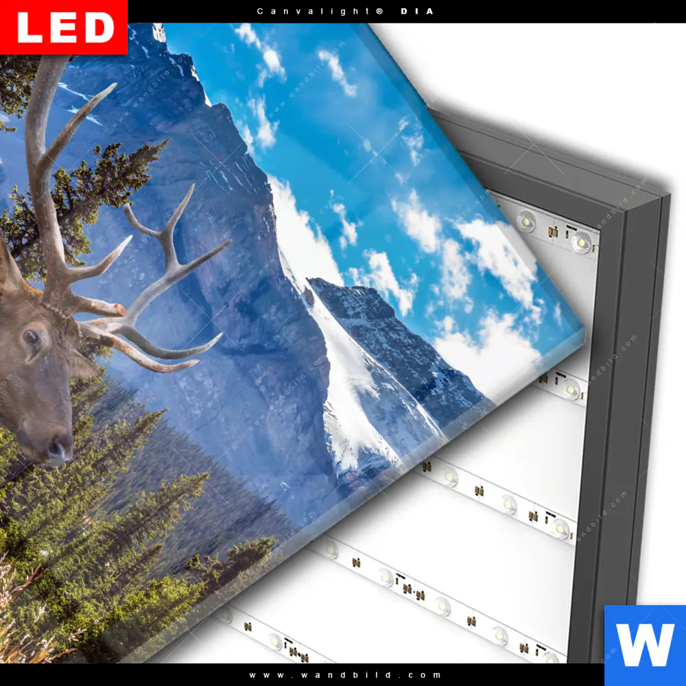 Wechselmotiv Acrylglas Canvalight® DIA | Hirsch vor Bergkulisse | Quadrat - Image 3