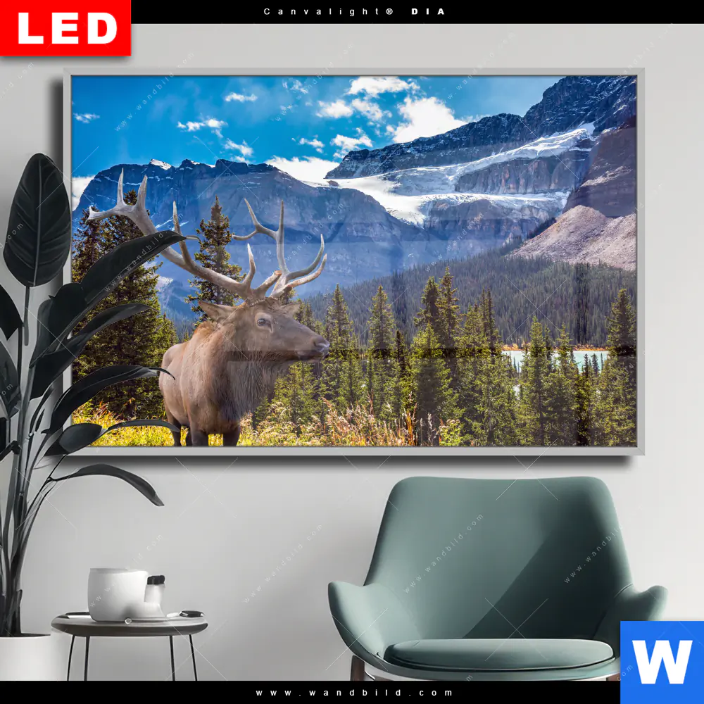 Wechselmotiv Acrylglas Canvalight® DIA | Hirsch vor Bergkulisse | Querformat